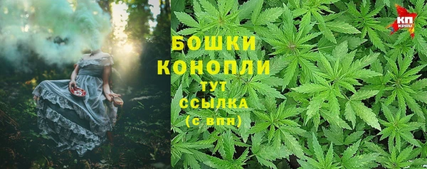 трава Покачи