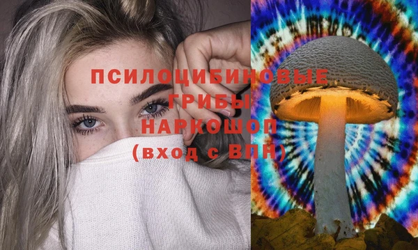 ешки Коряжма