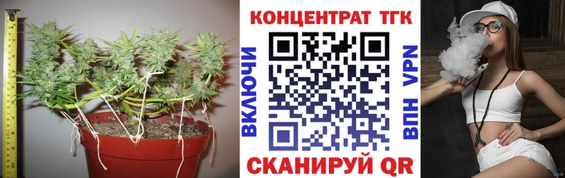 ТГК Wax  Харабали 